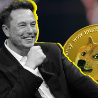 Dogecoin Trillionaire