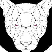 PolyPuma