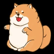 Super Heavy Floki
