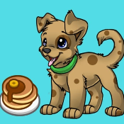 CAKEDOGE