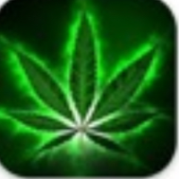 XweedX