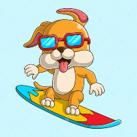 🏄‍♀️ SURF FLOKI 🐕