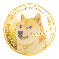 DOGEVERSE