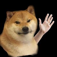 Shiba Slap