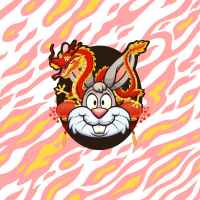 Dragon Rabbit