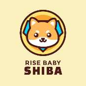 RisebabyShiba