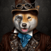 RoboDoge Coin