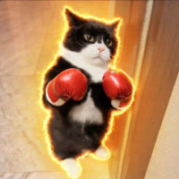 DAU Punch Cat ๐ฅ