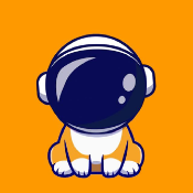 RocketFloki
