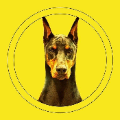 DOBERMAN