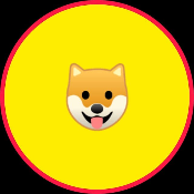 YellowShiba