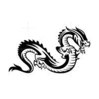 DRAGON ASIA