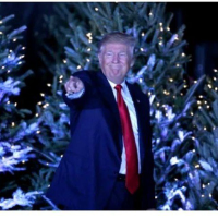 Christmas Trump