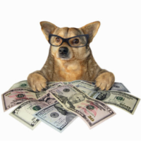 DOLLARDOG