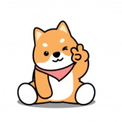 DOGEPUPPY