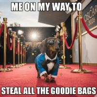 Oscar Dog