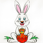 Baby Rabbit Coin