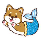 Mermaid Shiba Inu