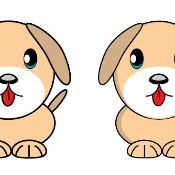 TWINS INU