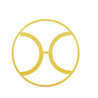 $HYV token