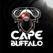 Cape Buffalo