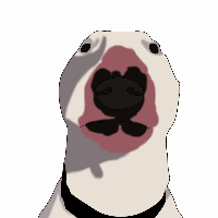 Walter