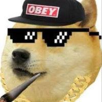 Thoge latam