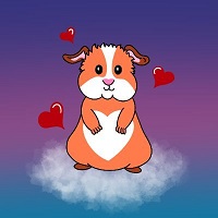 Guinea Pig Bsc