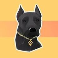 Kahuna Inu