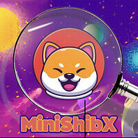 Mini ShibX