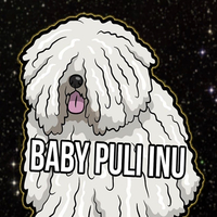 Baby PUli Inu