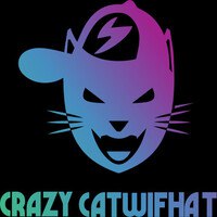 Crazy Catwifhat