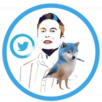 TWITS