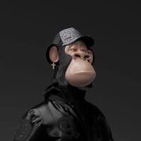 MonkeyInBlack