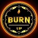BurnUp