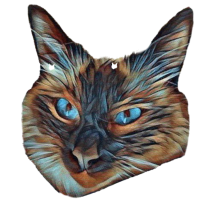 Holy Birman