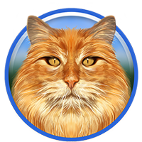 Ragdoll Cat NFT