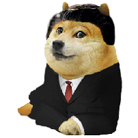 MR DOGE