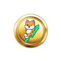 Pump Doge NFT