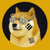 BUSDOGEGROW