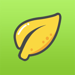 LIMON GROUP