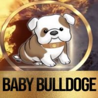 BABY BULLDOGE