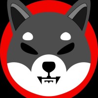 BlackShibaInu