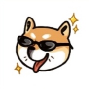 Cool Doge
