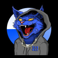 BADCAT