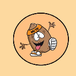 NUTS COIN