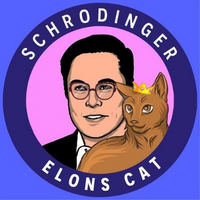 Schrodinger - Elon's Cat