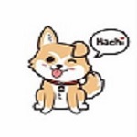 Hachikoİnu