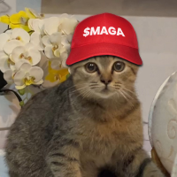 MAGA CAT