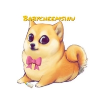 Babycheemsinu